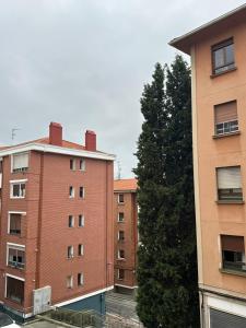 a group of buildings next to a tall tree at ARBE Apartamentos in Bilbao