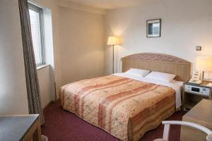 a hotel room with a large bed and a window at ホテルサンモール in Asahi