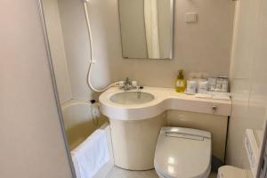 a bathroom with a sink and a toilet and a mirror at ホテルサンモール in Asahi +26 photos