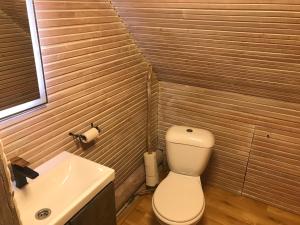 a small bathroom with a toilet and a sink at Ala-Kure metsamaja in Varbuse +9 photos