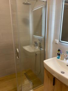 a bathroom with a shower and a sink at Privatni apartman A15 Vučko Aparthotel in Jahorina +15 photos
