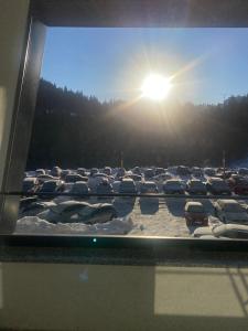 a group of cars parked in a parking lot at Privatni apartman A15 Vučko Aparthotel in Jahorina