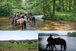 a group of people riding horses through a river at Pensjonat Kowalski in Łubowo