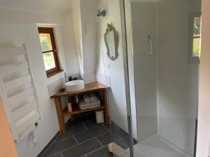 a bathroom with a sink and a shower at ChezLeMoulin Bed and Breakfast in Samouillan