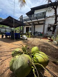 a bunch of melons on the ground in front of a house at Sla guest house in Boracay