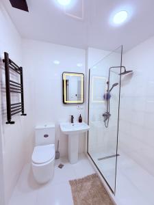 a bathroom with a toilet and a sink and a shower at Likas cozy corner in Tbilisi City +25 photos