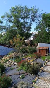 a garden with rocks and plants on a walkway at chalet 2 in Saint-Christol-lès-Alès