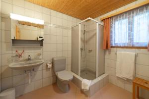 a bathroom with a toilet and a shower and a sink at Sonnegge in Wildhaus +15 photos