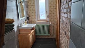 a bathroom with a sink and a window at Ferienhof Ziegler - Studio Fingerhut in Baiersbronn +29 photos