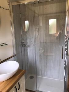 a shower with a glass door in a bathroom at Ty Beti at Gorlan yr Efail Shepherds Hut with Private Hot Tub in Holyhead
