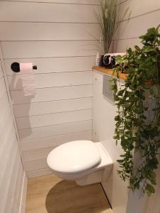 a bathroom with a white toilet and a plant at La maisonnette des Fontilles in Mauriac