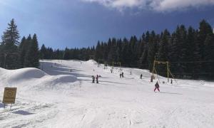 a group of people skiing down a snow covered slope at Chata Hella in Pernink