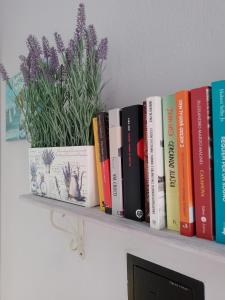 a shelf with books and a plant on it at B&B Rossociliegia in Castelbianco