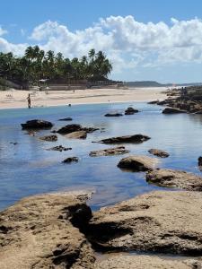 a beach with rocks in the water and palm trees at Pontal Flat 103 in Coruripe