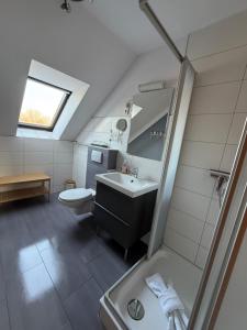 a bathroom with a sink and a toilet and a shower at Strandgut- die Kleine in Dranske