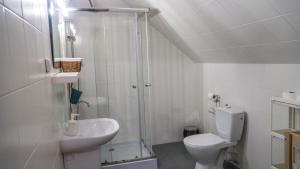 a bathroom with a shower and a toilet and a sink at Villa Podkarpacka in Kudowa-Zdrój +25 photos