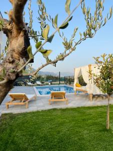 a backyard with a pool and a tree at Villa C'est la vie in Kaštela