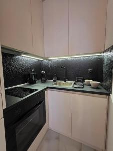 a kitchen with a sink and a counter top at Sotto Il Sole in Surčin