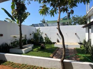a courtyard with two palm trees and a white wall at Hostel Akeeka in Alleppey
