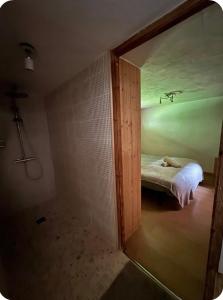 a room with a bedroom with a bed and a mirror at petit chalet in Chamonix