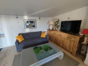 a living room with a blue couch and a tv at Face à la mer in Châtelaillon-Plage
