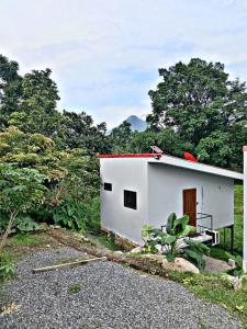 a small white house in the middle of a forest at The Chicken House in El Castillo de La Fortuna