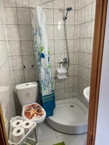 a small bathroom with a shower and a toilet at PanTuszka Pokoje in Pobierowo