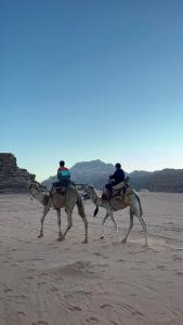 two people riding on horses on the beach at wadi rum planet camp in Disah