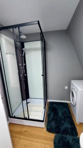 a glass shower in a bathroom with a washing machine at Moonriver Alps Ski Apartament in Ramingstein