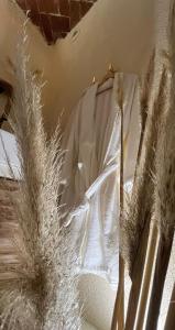 a white shirt hanging on a wall with some plants at Écrin Secret - Suite troglodyte avec spa in Pia