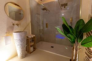 a bathroom with a shower and a potted plant at Écrin Secret - Suite troglodyte avec spa in Pia