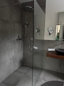 a shower with a glass door in a bathroom at Appartement Muller-Mayer in Weissensee +8 photos
