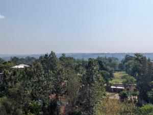 a group of trees with houses in the background at Cozy Homes in Bungoma