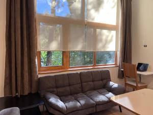 a living room with a couch in front of a window at Tranquila y moderna en el bosque in San Carlos de Bariloche +12 photos