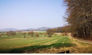 a field with green grass and trees and a road at Im Herzen von Chattengau in Gudensberg