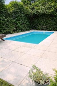 a blue swimming pool with a bench next to it at El Bosque de Simba - Casa in La Estancia