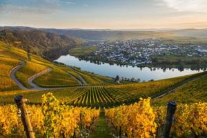 a view of a vineyard with a river and a town at Ferienwohnung Moselnest in Piesport