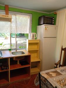 a kitchen with a sink and a refrigerator and a window at Cisnes del tolten in Freire
