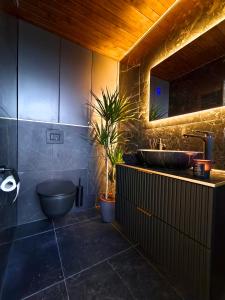 a bathroom with a toilet and a sink at KotkaPesa in Vihtra