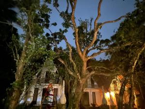 a large tree in front of a building at night at Mantara in Matara