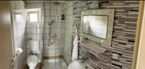 a bathroom with a toilet and a mirror at Studio apartman Relax in Đakovo +23 photos
