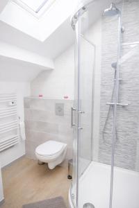 a bathroom with a shower and a toilet at Modern Living in Huningue +52 photos