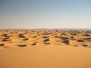 a field of sand in the desert at Authentic Sahara with Locals in Tagounite +3 photos
