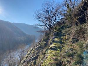 a hill with trees on the side of a river at Malrieu in Le Fel