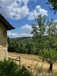 a wooden bench in a field with a tree at La Fontaine du Peuch in Plazac