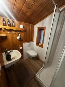a bathroom with a toilet and a sink and a shower at Hengifosslodge Skáldahús in Egilsstaðir