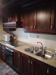 a kitchen with wooden cabinets and a sink at Los Tres Lobitos in Orgaz