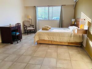 a bedroom with a bed and a desk and a chair at Las Agujas in Aldea Camarero