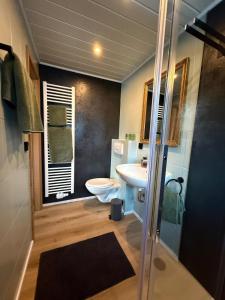 a bathroom with a toilet and a sink at Apartment 18 in Kurort Oberwiesenthal +3 photos