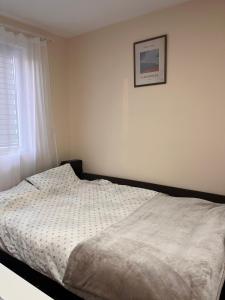 a bed in a bedroom with a picture on the wall at Apartman Tas in Smederevo